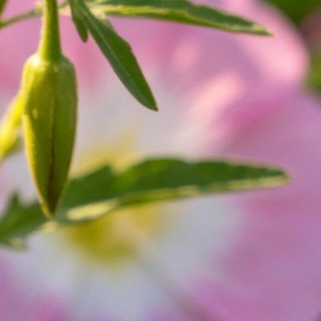 阳光信用[超话]  💫阳光信用  💫每日一善再长的路，一步步也能走完；再短的