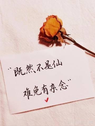 好与不好，都是生活，尽力就好。允许所有的事与愿违，用最宽的心，装最多的幸福，希望
