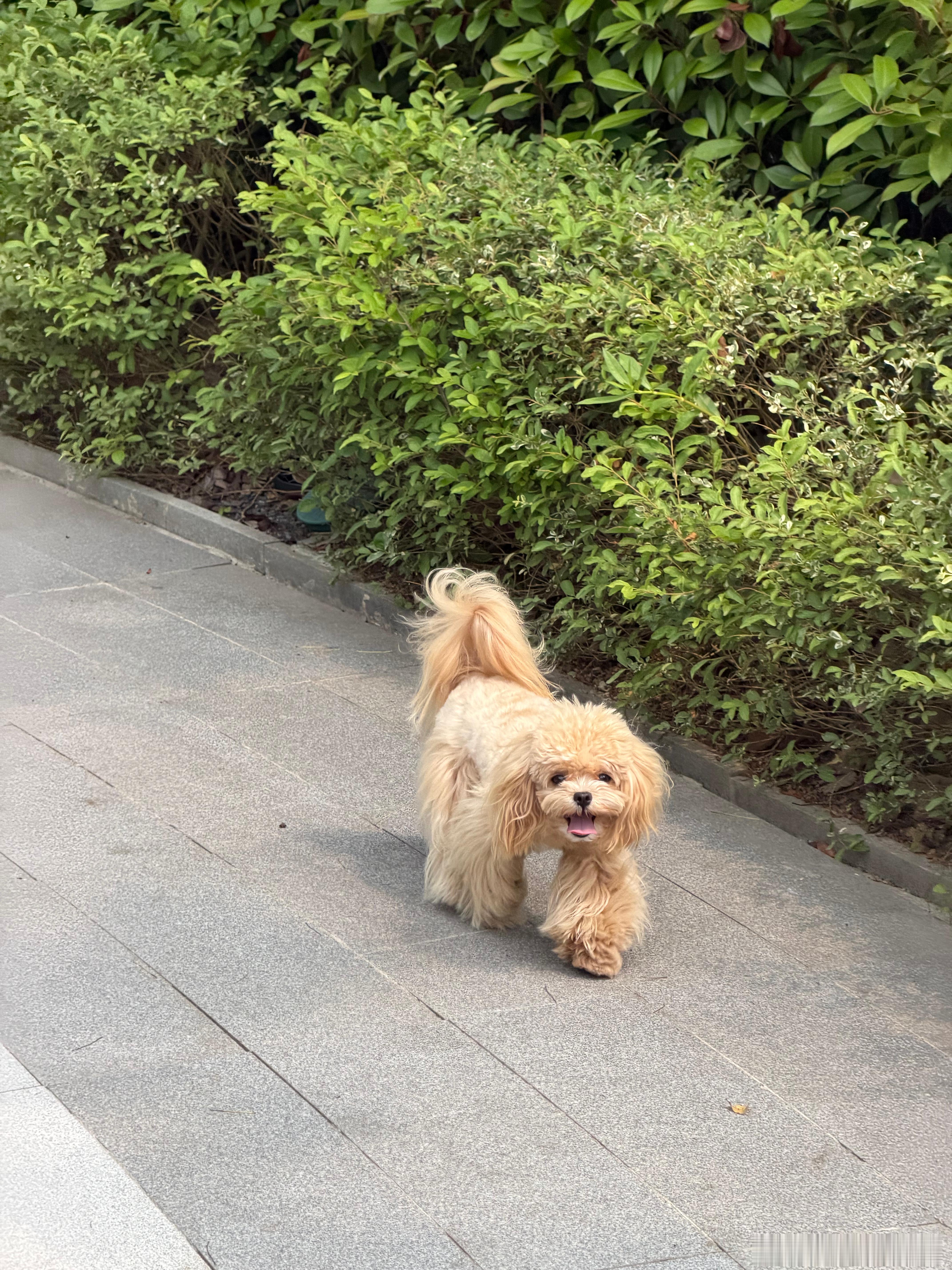 下午睡了一觉昏天黑地，醒过来就这个点了不知道晚上吃点啥好，大家能不能给点意见呀