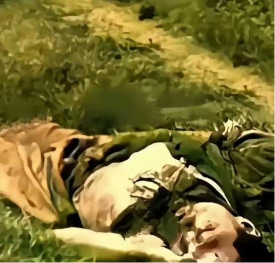 在南疆的高温湿热中，一名牺牲于敌人伏击的侦察兵烈士，因时隔多日，当救援战友赶到时