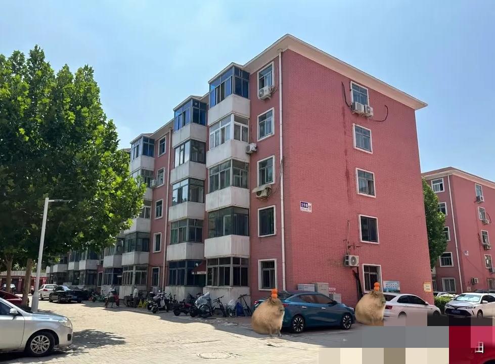 住老小区最崩溃的不是没电梯，

   是隔音差到隔壁掉根针都听得见！

    