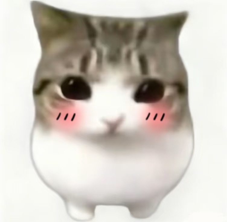 😻 