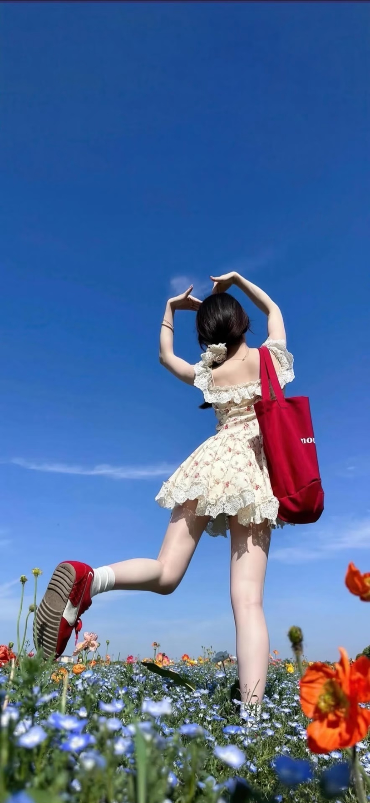 壁纸｜ iPhone 高质感壁纸（4K高清）幸福总会降临 美好永不缺席  专栏 