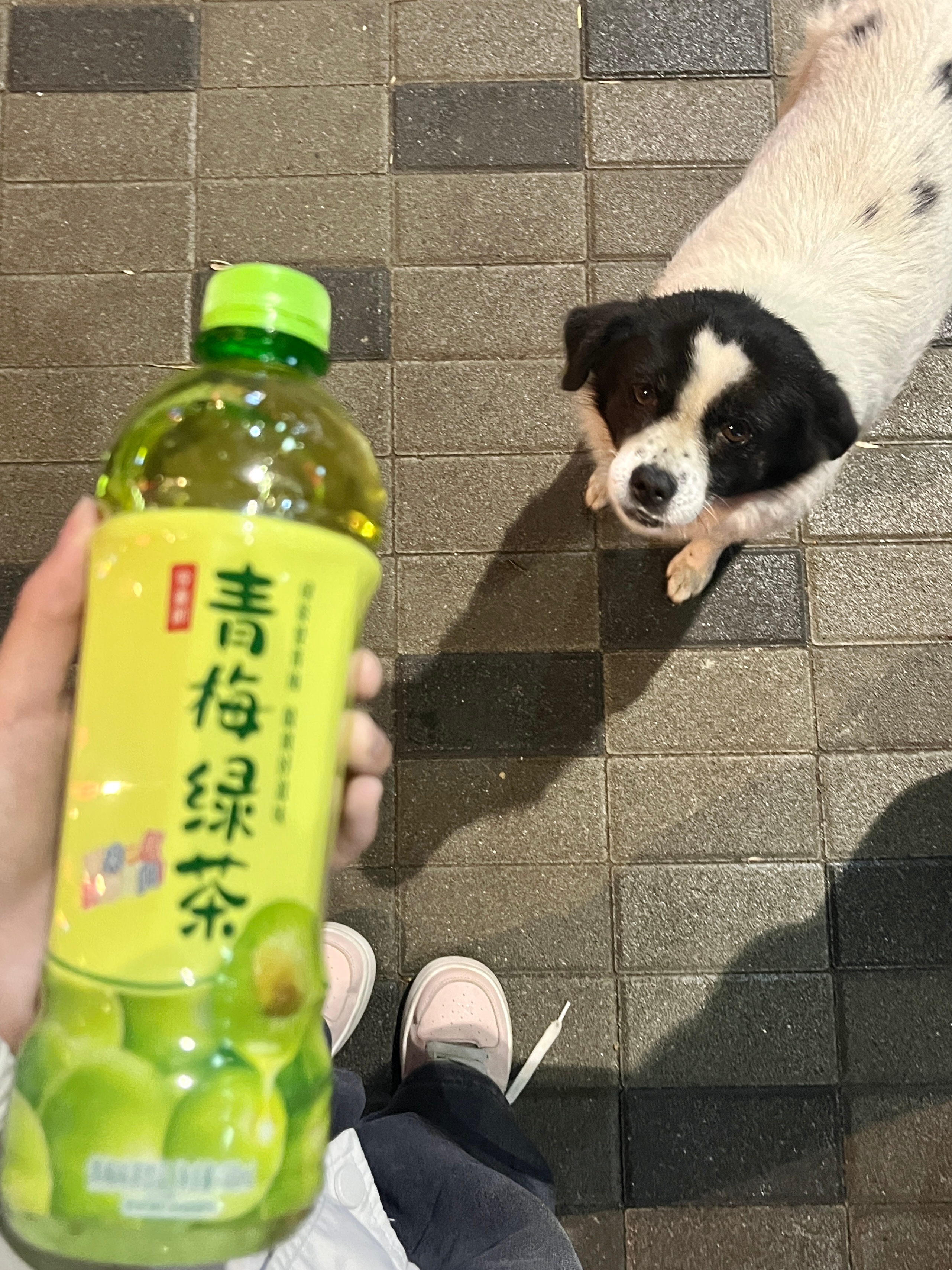 嗯？ ​​​
