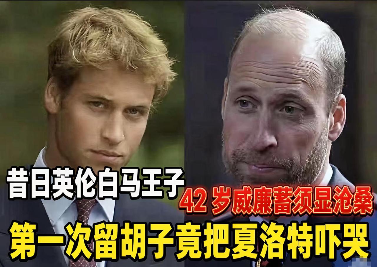 提起威廉王子，很多人脑海里还留着他年轻时的模样。当年一头浓密金发，眉眼干净，高大