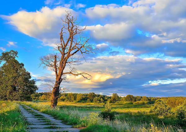 爆火🔥六字箴言戳中千万人！“一天一年一生”，治愈当代人时间内耗
 
家人们，最