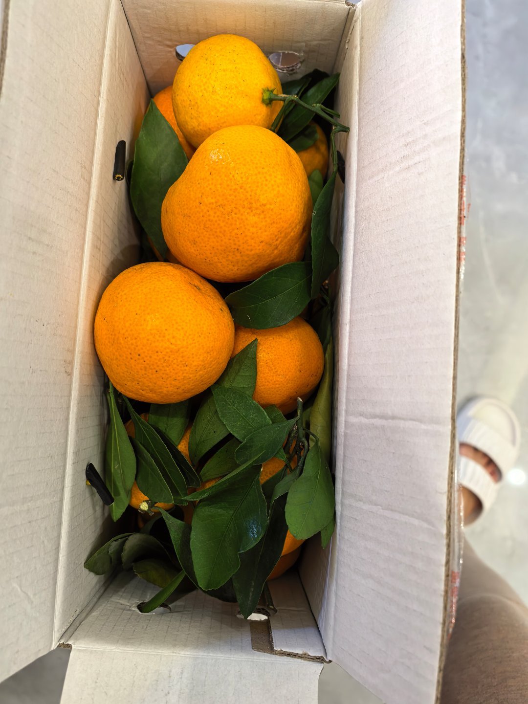 这次买的橘子大小也太不均匀了还好新鲜，还挺甜 