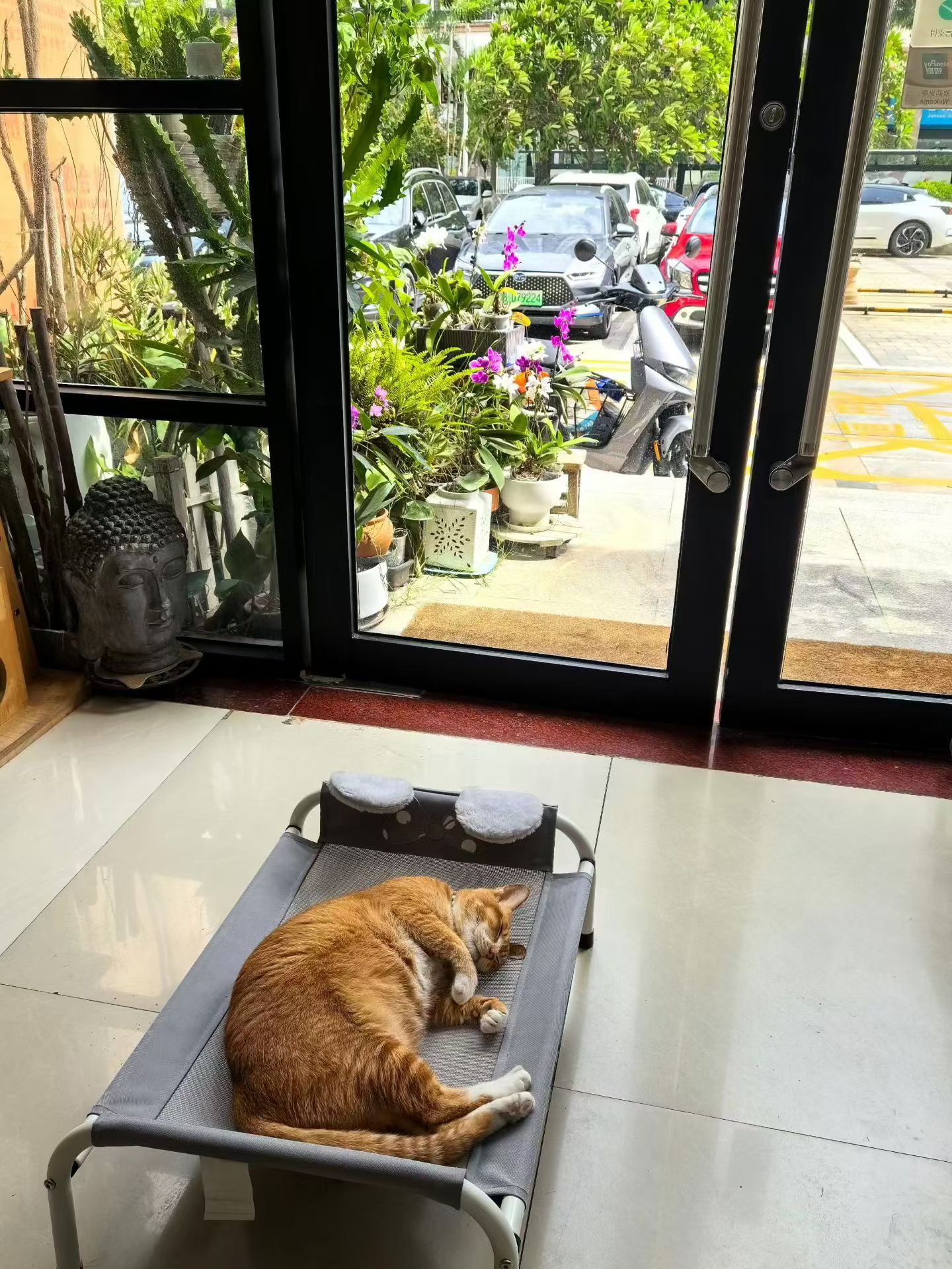 怎么打扮都很帅很帅，就说小猫咪也有分特别好看的颜值有没有 。。猫咪