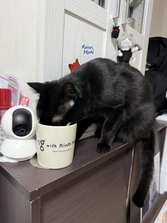 又在偷水了