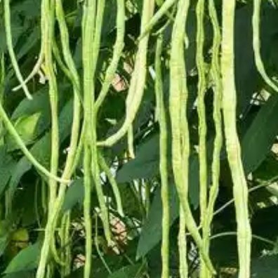 每日一善 ☀每日一善 打开幸福之门有四把钥匙：口中有德，目中有人，心中有爱，行中