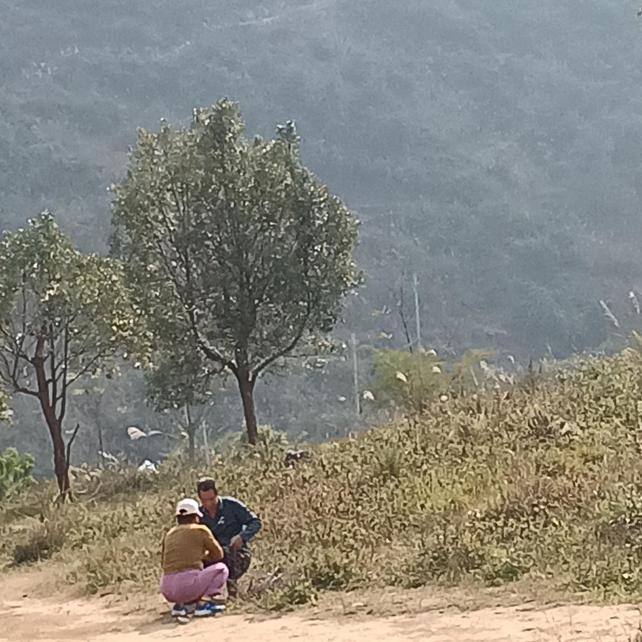 阳光明媚的时候是最美好的时候。

来到巴马遇到过两次连阴雨天，之后从今年元月七八