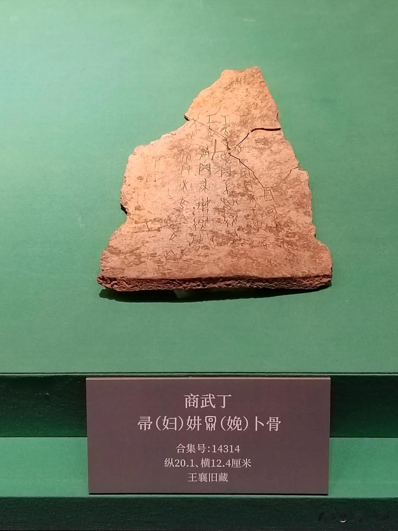 王入大邑商（十四）
——天津博物馆藏武丁卜辞探亲展
