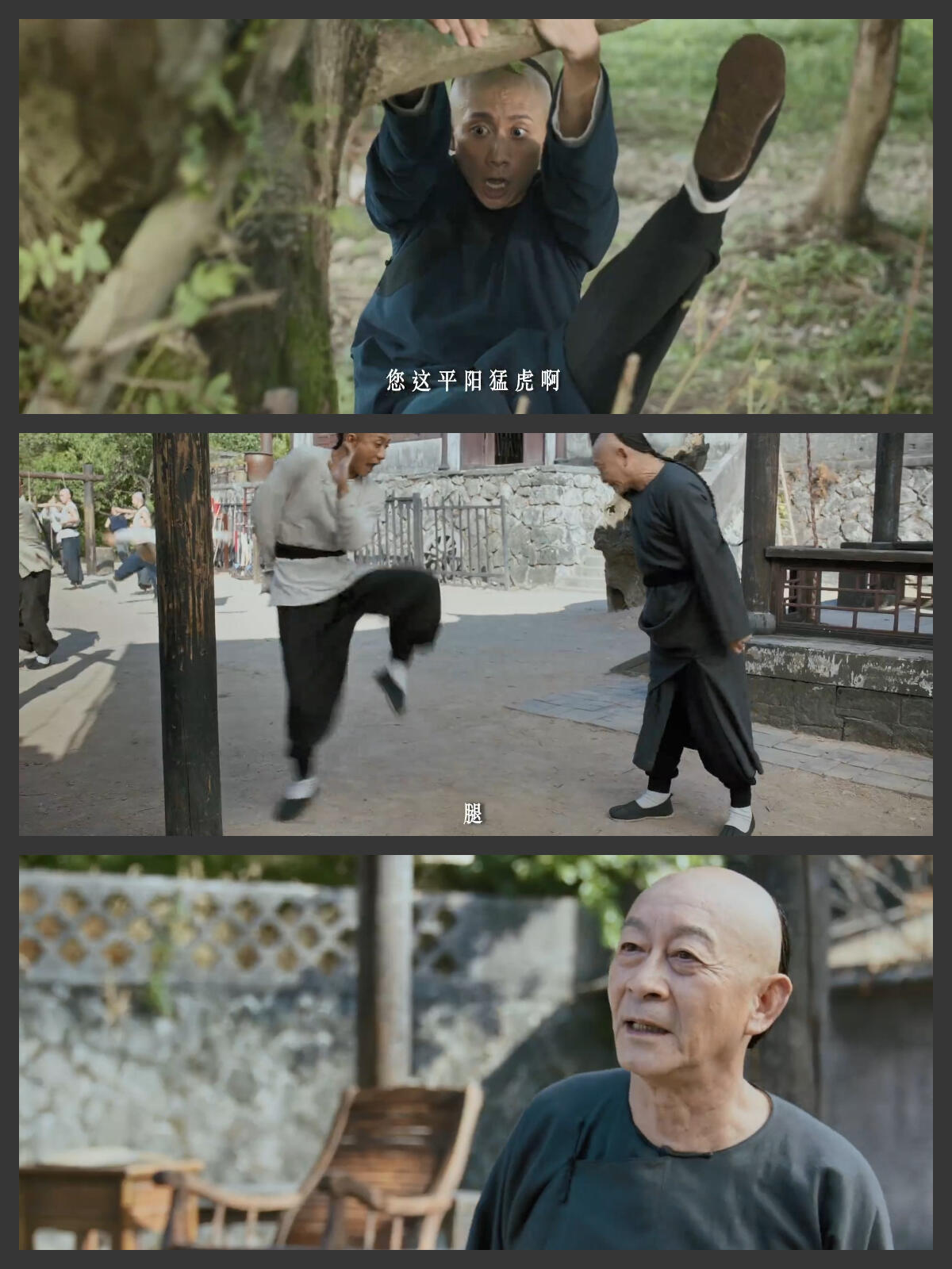 云雀叫天录全员剧抛脸不说真看不出来云雀叫天录里面有这么多老戏骨，张一山六小龄童就