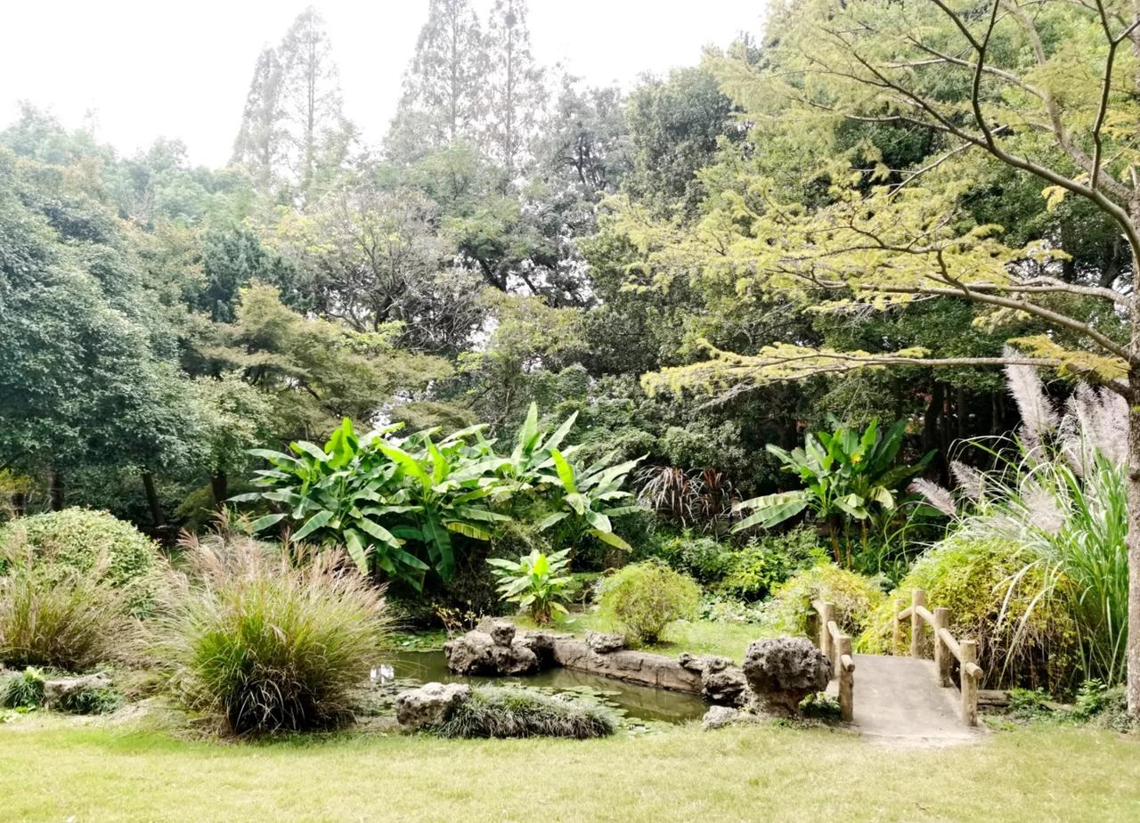 户外漫游|南京中山植物园
🌿被植物园治愈的秋天，南京的绿野仙踪在这里！
一进门