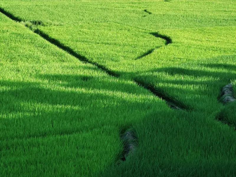 甘泉点滴润禾苗，
功德无量传万世。