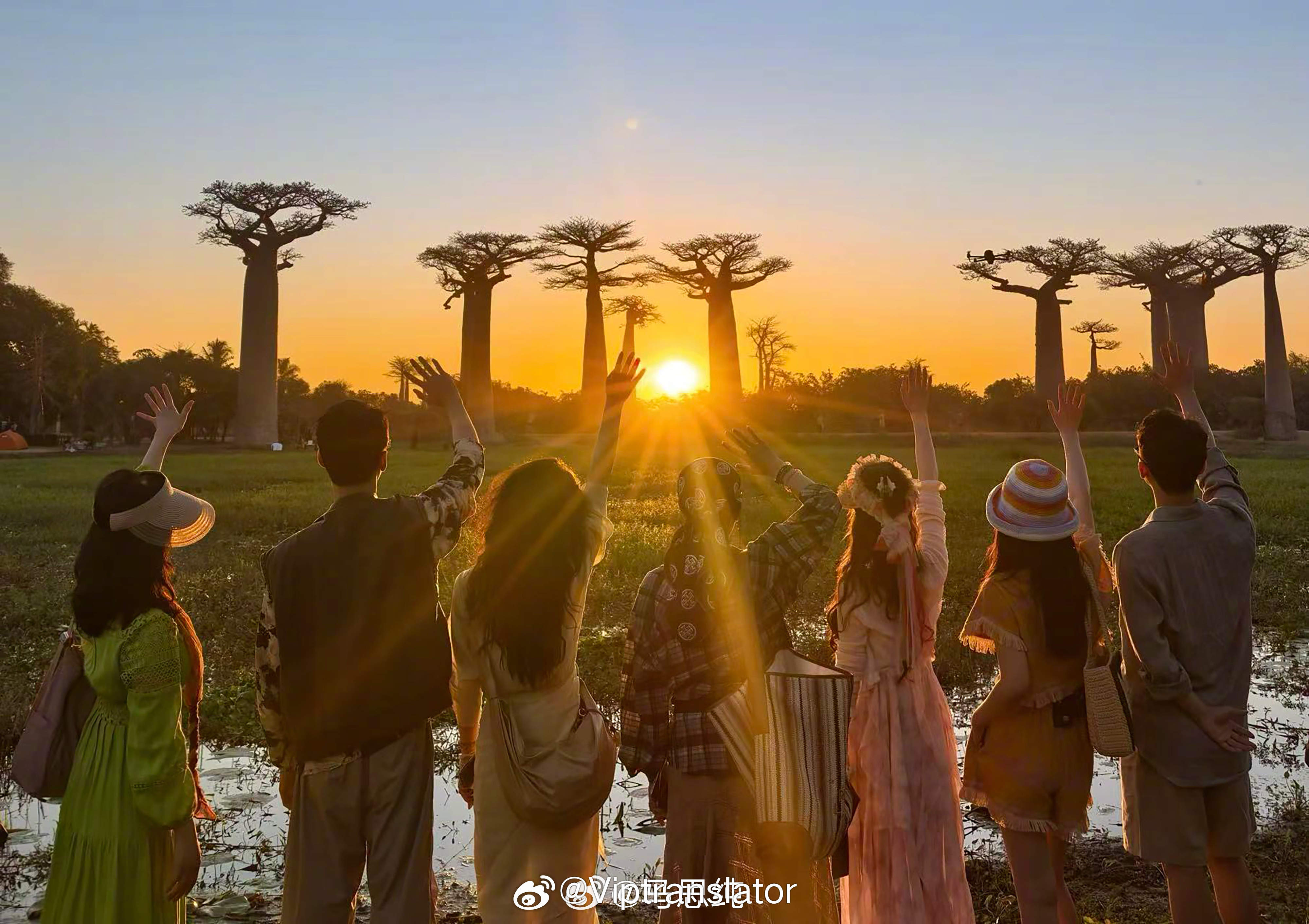 花少7播出表现特别好。云合综艺登顶。但不要总是要拿花少5对比。花少7自己表现就很