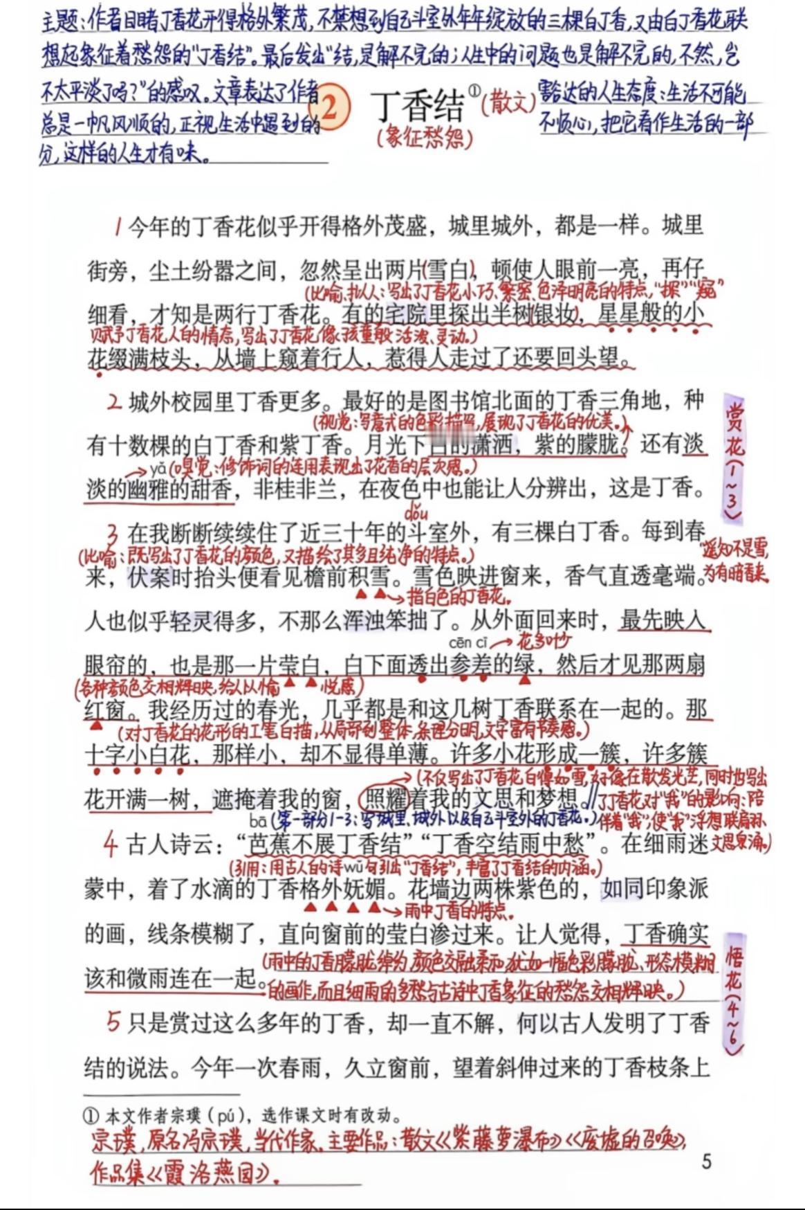 六年级上册语文，第一单元阅读《丁香结》课堂笔记，收藏备用课文讲解笔记