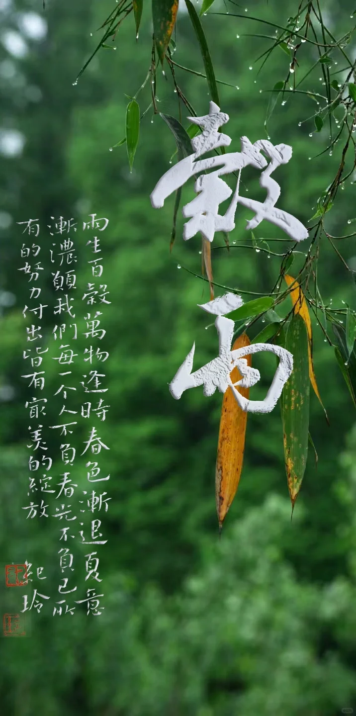 今日谷雨，学书法的不要写错了哦。