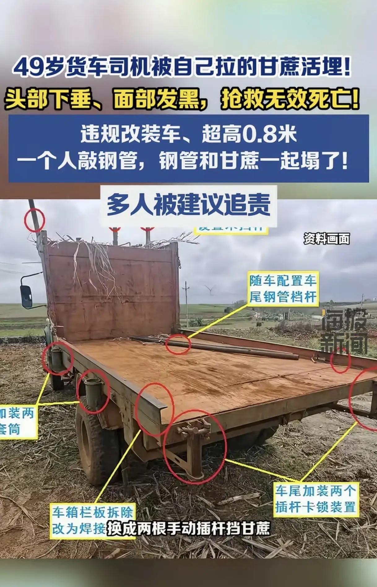 一辆运甘蔗的货车，最终没有倒在路上，却倒在了卸货时的几秒钟里。

广东湛江雷州，