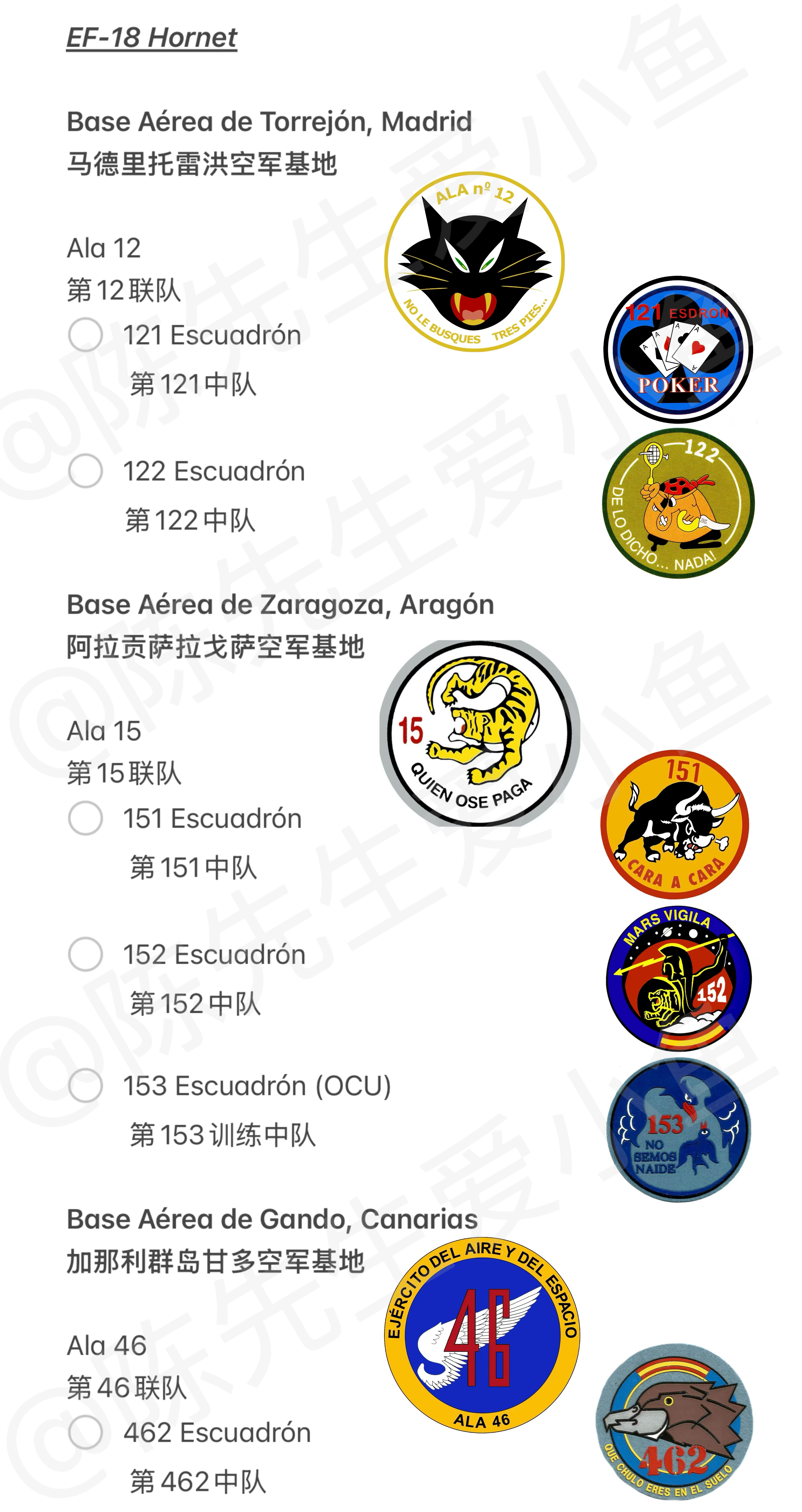 西班牙空军/空天军EF-18大黄蜂中队识别指南军用飞机信息汇 中西双语编制西班牙