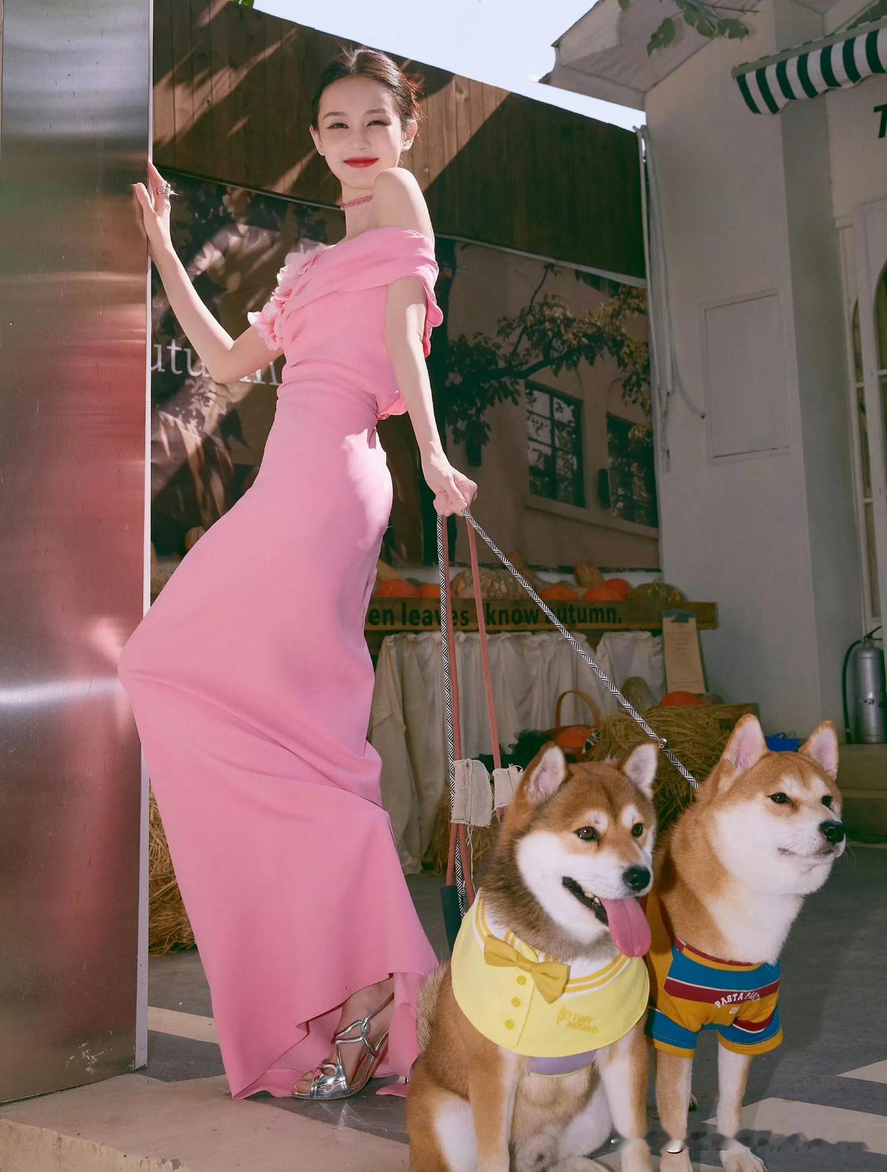 李一桐粉衣佳人笑语中，犬伴相伴笑如花