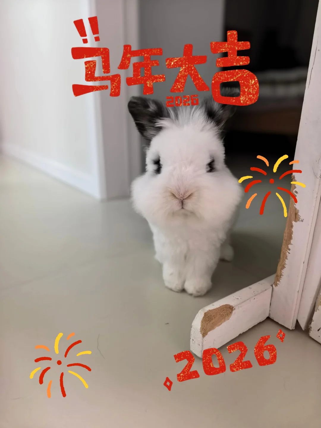 被迫营业的小财神们, 在线派送好运