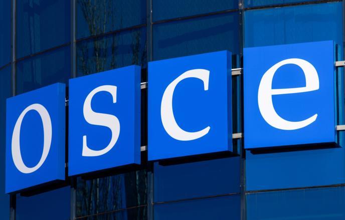 外交官日丹诺娃：欧安组织已被排挤出国际进程核心
 
俄代表团团长称系西方政策所致