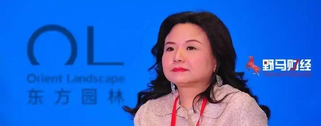 中国的钱我是一分也不会还。”一位女企业家欠下200亿巨额债务，却一分钱都不还。公