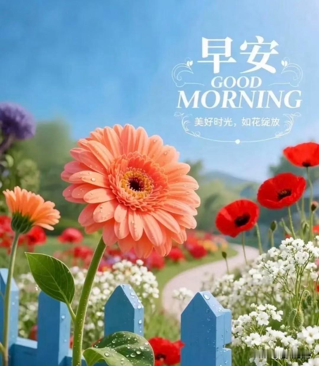 ᴍᴏʀɴɪɴɢ🌼✨
心若向阳，日常皆会闪光。
哪怕现在遇到阻碍，
也要相信低谷