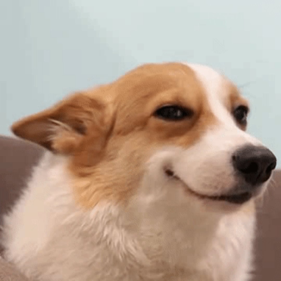 如果可以定制今晚的梦，你希望梦到_______  