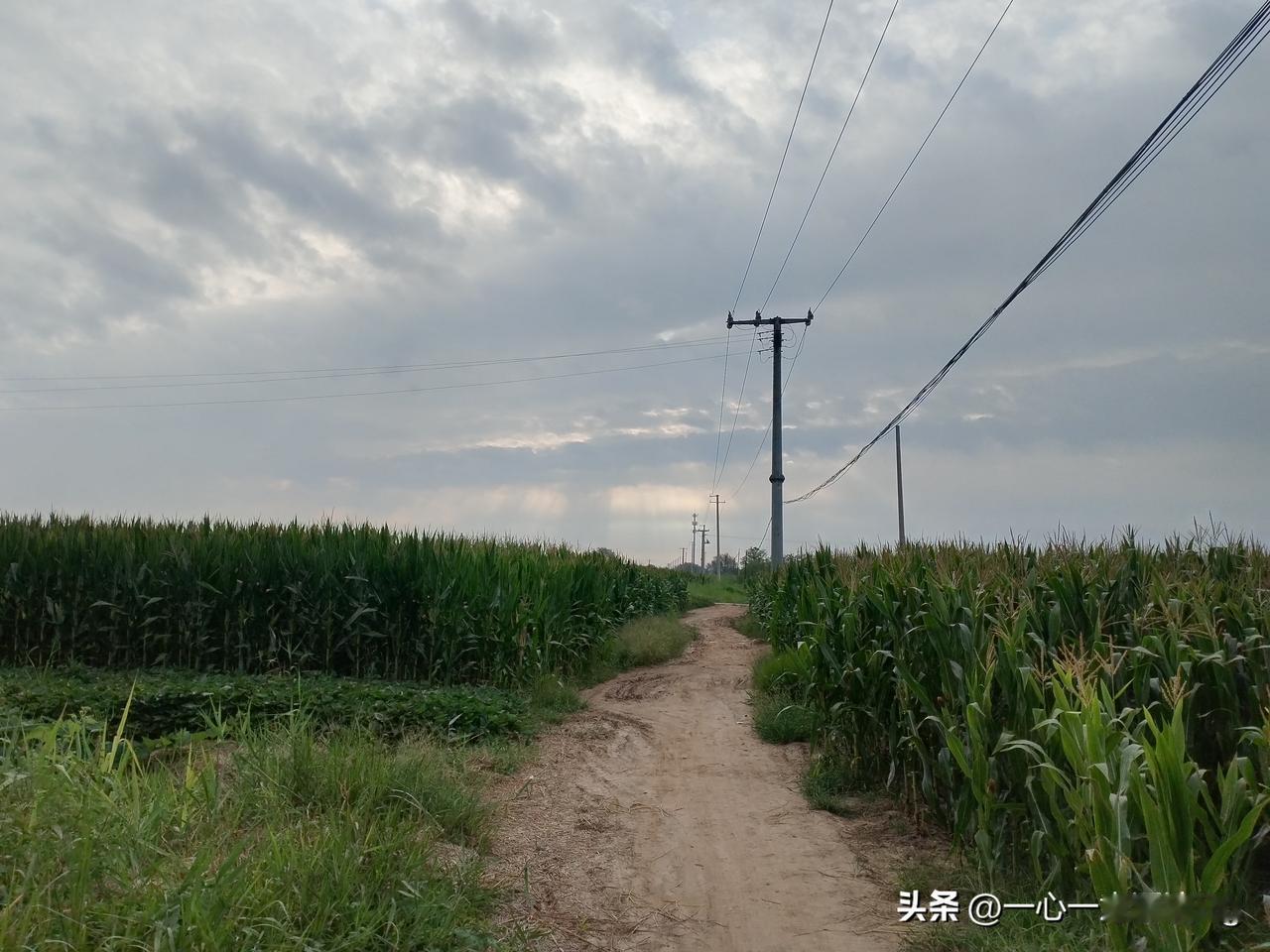 众友友早上好！
今天是8月24日星期一，日出时间5.32分，日落时间6.52分，
