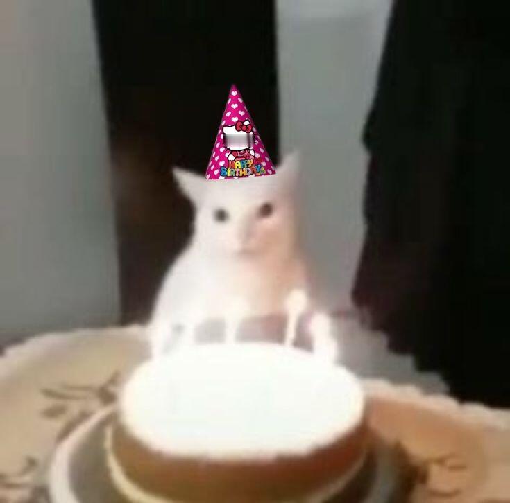 ₊˚ 𝐰𝐞𝐢𝐫𝐝 𝐤𝐢𝐭𝐭𝐞𝐧𝐬 猫猫美学🐈‍⬛・₊✧