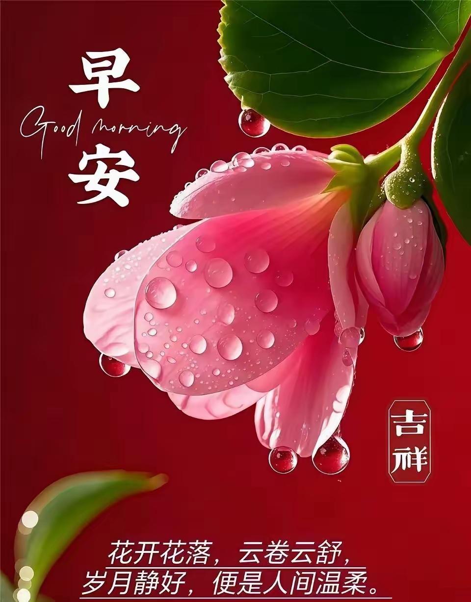 早安朋友们每日祝福早安 早上祝福问候 早晨来个问候 早安问候图 早安香薰 友来早