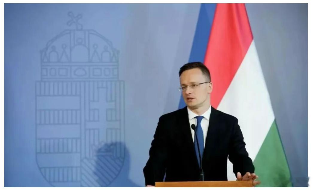 匈牙利前外交部长西雅尔多（Peter Szijjarto）宣布辞去议员职务，加入