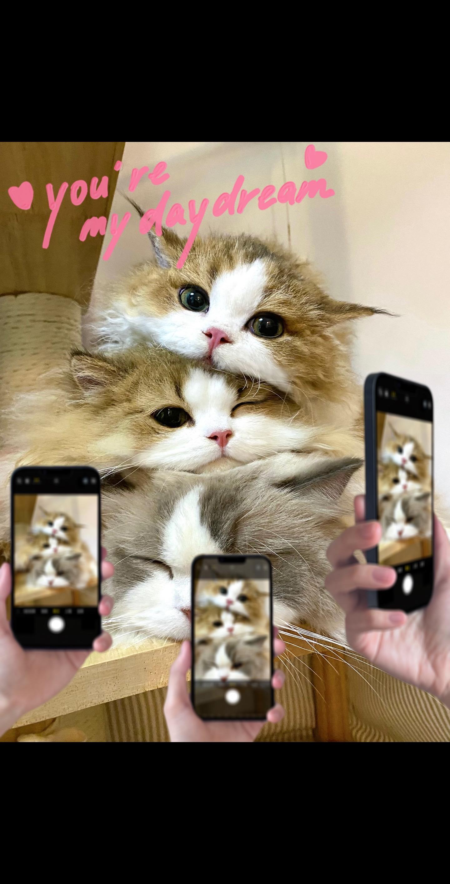 我的宝宝值得被宠坏~