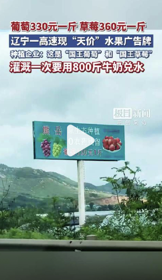 葡萄330草莓360元一斤网友惊呆 辽宁高速惊现330元一斤葡萄、360元一斤草