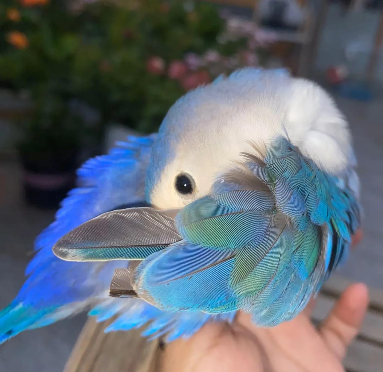 头条确实不地道，
克扣我们阅读量。
今天我又做了个试验检测了一下，
用三个手机号