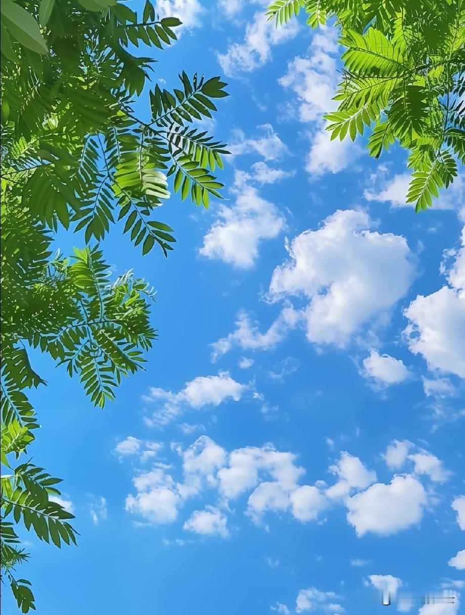 风拂流云漫碧纱，夏云百态自成诗。四时云霞各有风韵，唯独夏云最是灵动写意。长风过处