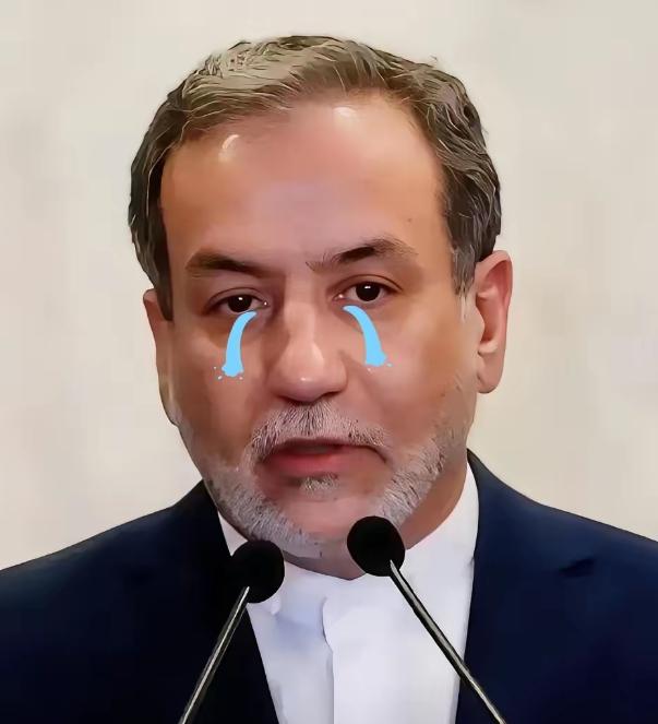 伊朗传来最新消息！
4月18号这天，伊朗烈士和退伍军人事务基金会主席穆萨维，当着