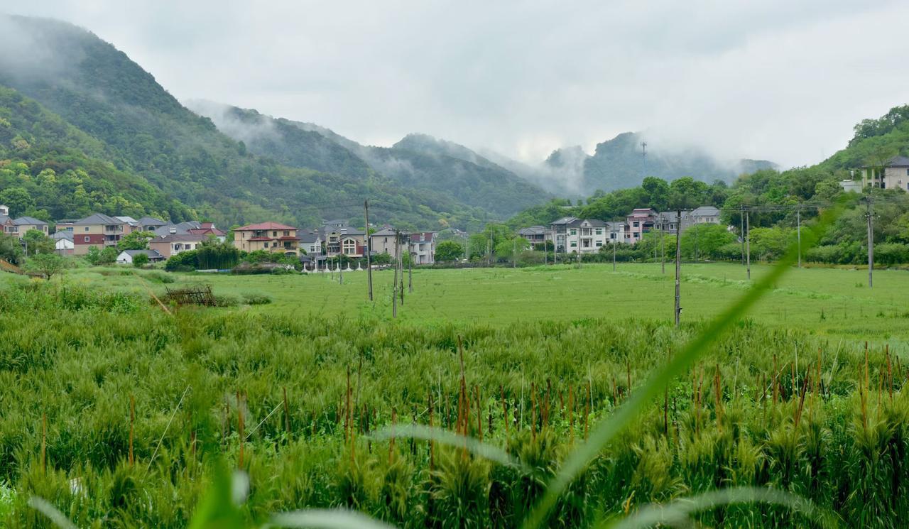 今年继续雨中行摄中泰（江南慢村）2026.04.23