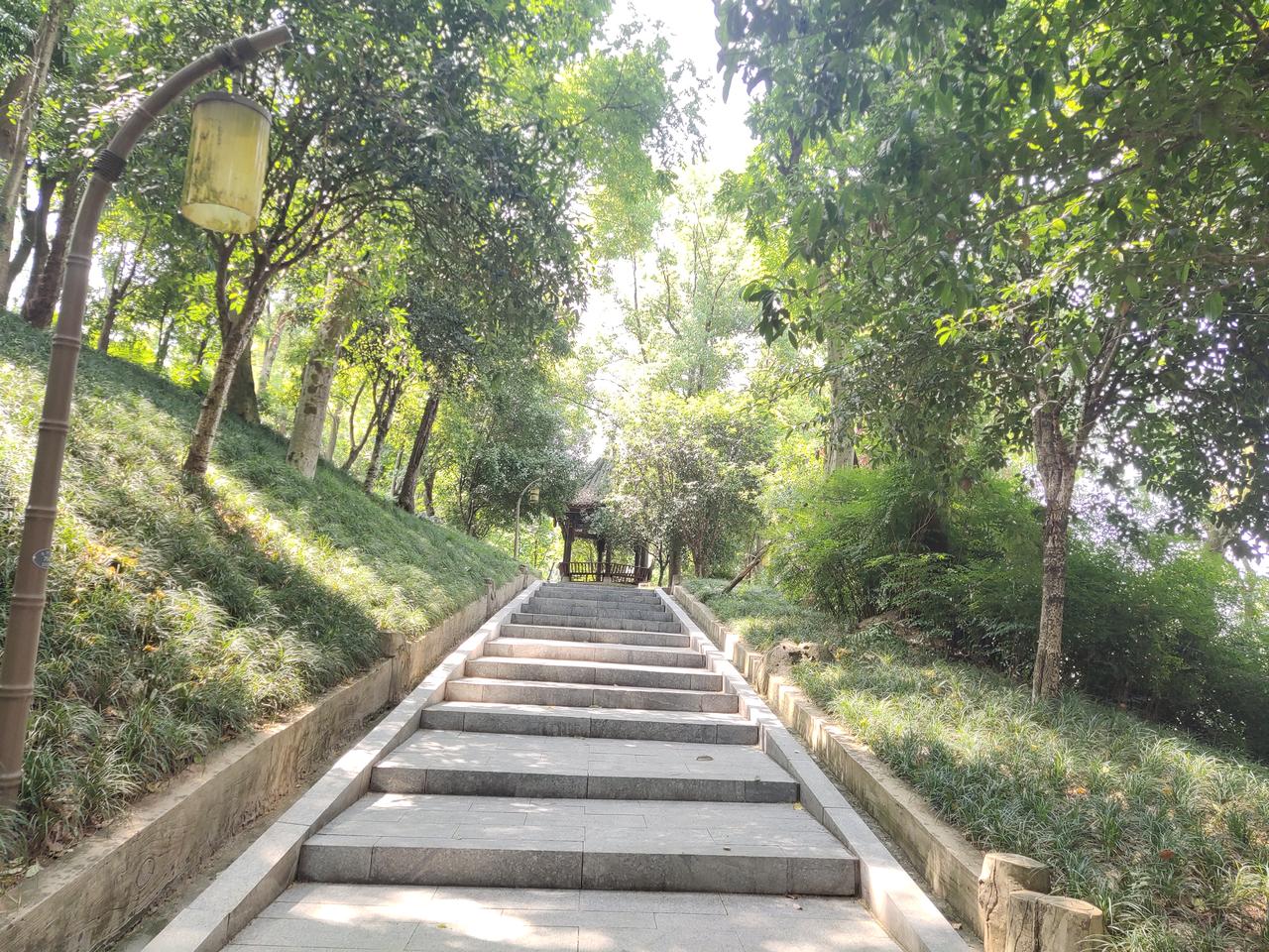 分享一下你随手拍下的照片