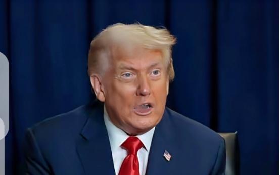 联合国这次不仅没要回钱，脸还被打肿了。之前还催缴30亿美元会费，威胁要停了美国的