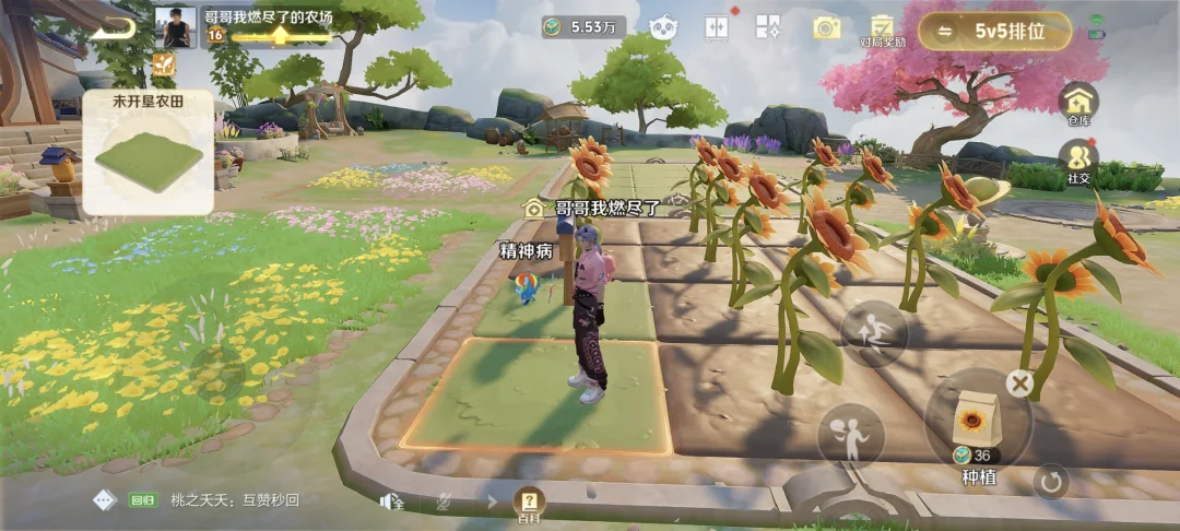 王者农场大家多少级了