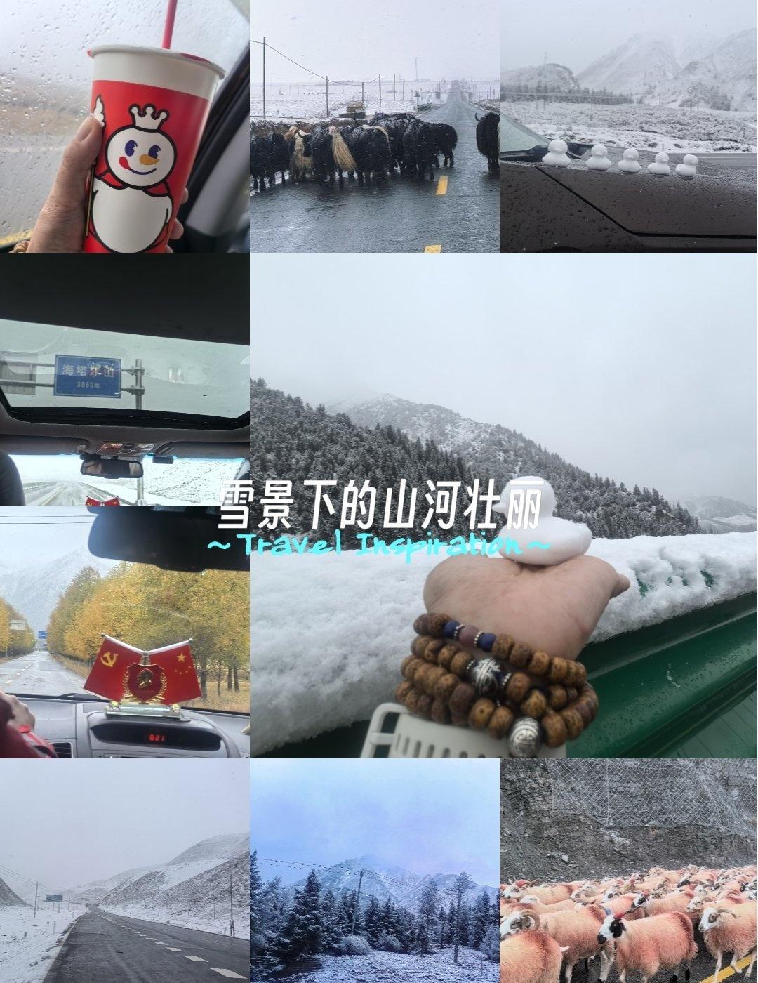 沿途都是白雪皑皑！
还有各种各样的小动物来挡道！
一个车感觉还是挺吓人的，开起来