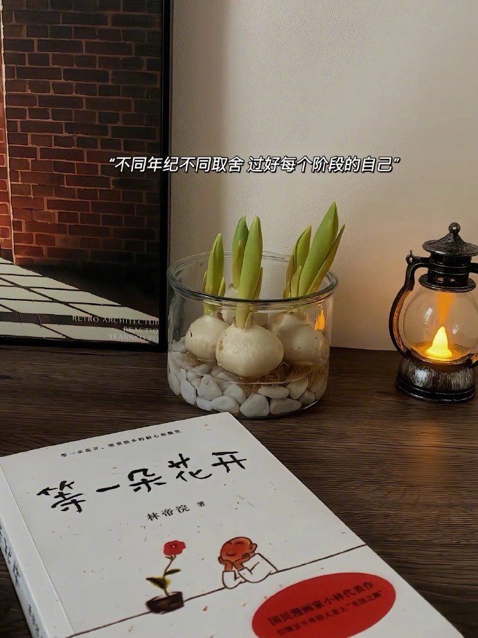ᒪIᖴE ᗪᗩIᒪY ˃̶͈🥚˂̶͈“勇敢结束的人，会被奖励一个新的开始 ” 