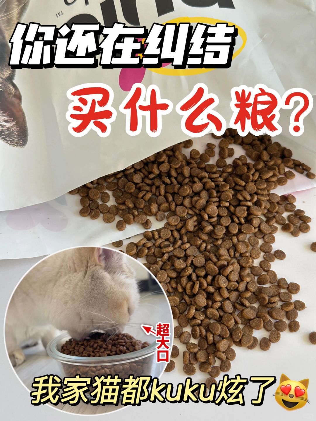 你还在纠结买什么猫粮❓我家猫都kuku炫了❗️