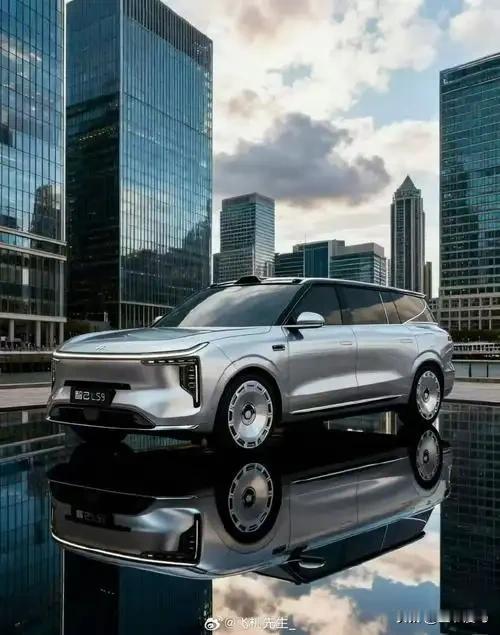 往年春运返乡，我总被朋友笑称“当代夸父”——追着充电桩跑，堵在服务区看燃油车绝尘