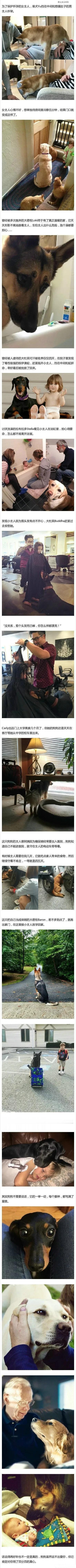 狗狗虽然不会说话，但对主人的满满爱意都在行动里……