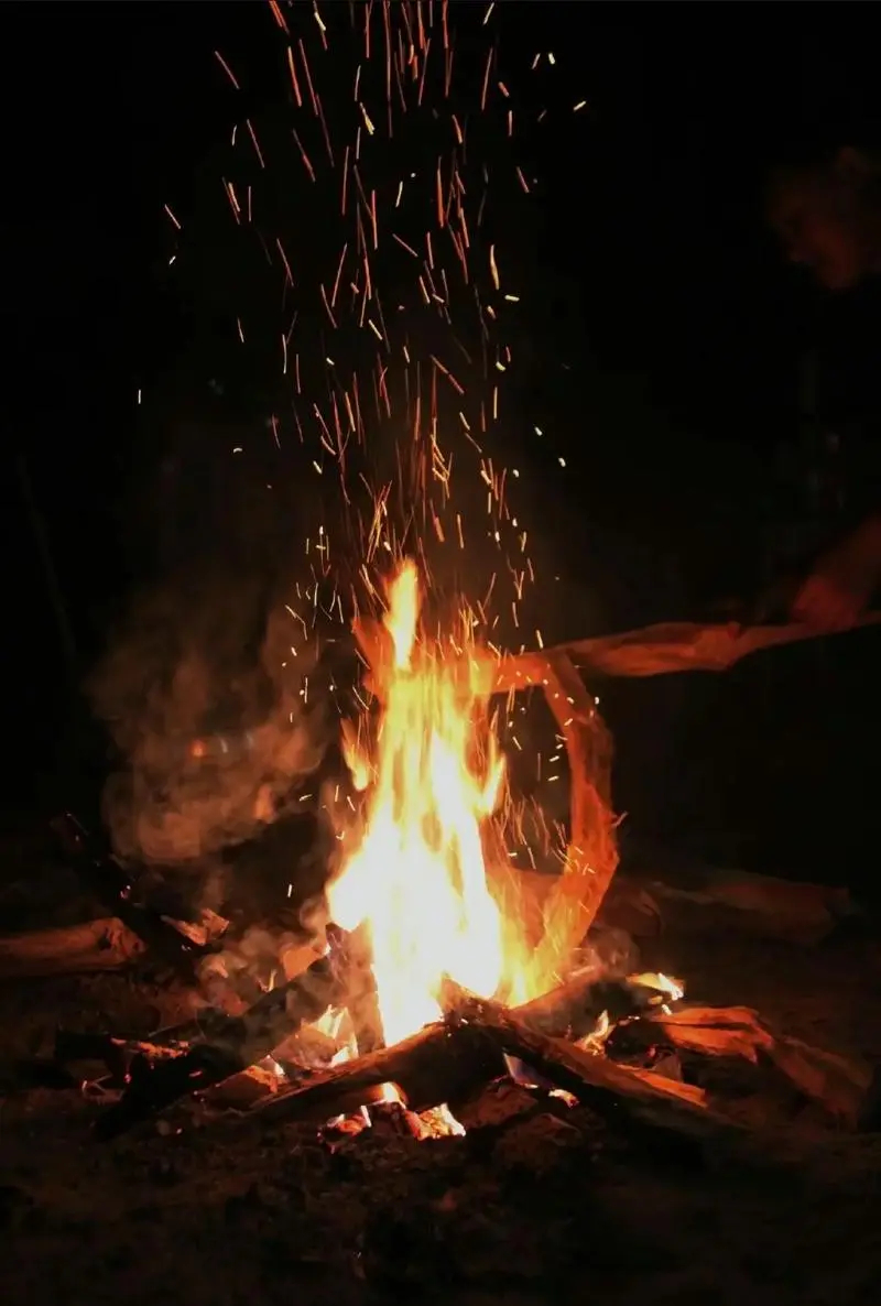 【五位才女最经典的五十大名句，美！ 】张爱玲1、因为爱过，所以慈悲；因为懂得，所