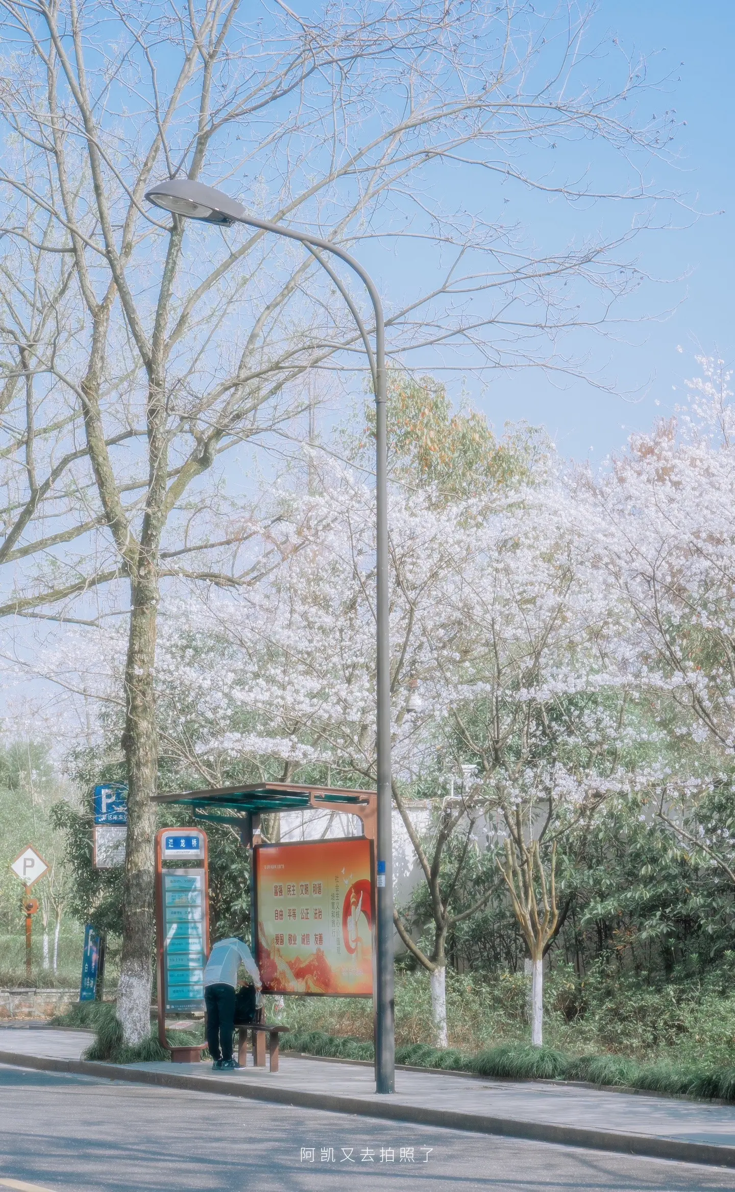 你的网速真快啊，一下就提前过春天啦。